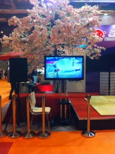 Audio and big-screen TV rental for events, big screen.